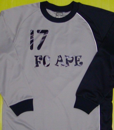 FC APEl