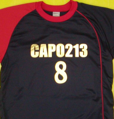 CAPO213